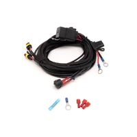 Lazer Lamps Two-Lamp Harness Kit (Low Power, 12V) Lights 2L-LP-120