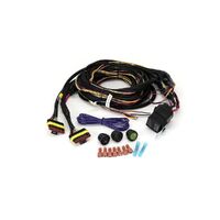 Lazer Lamps Two-Lamp Harness Kit Long (Beacon, 12V) Lights 2L-LP-6C-350