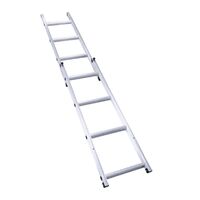 Ladder For Hard Roof Top Tent Ca5201 & Ca5205 230X46Cm Wildtrak CA5221