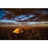 Best Family Camping Destinations in Australia image